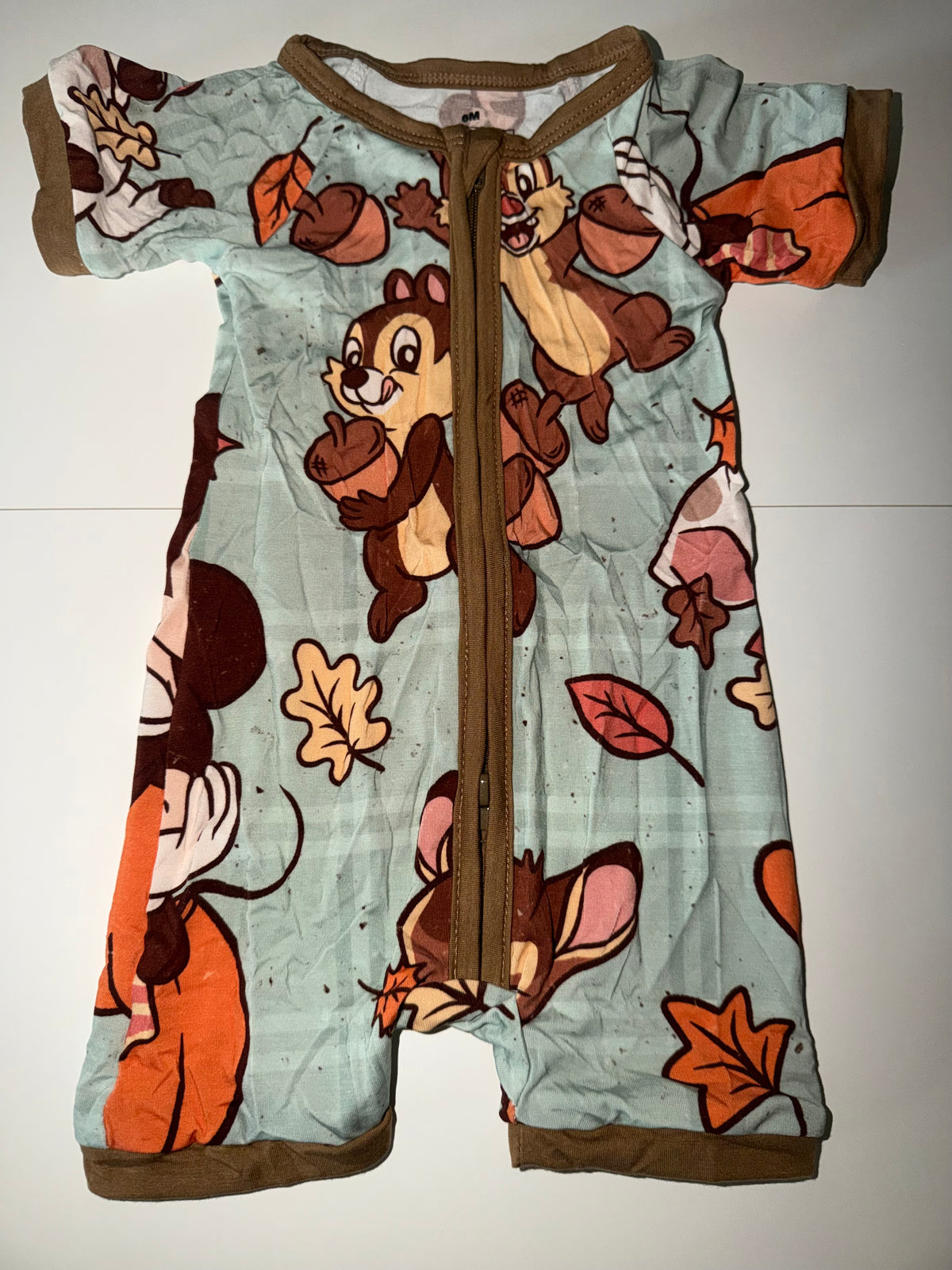 Autumn Woodland Friends